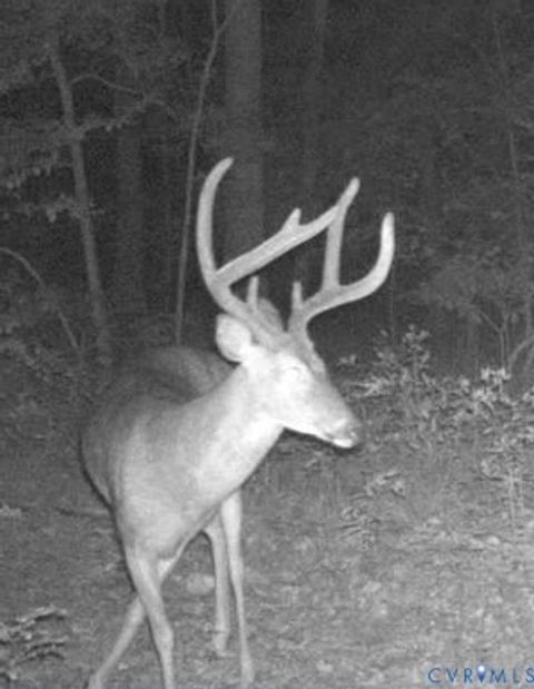 Tiny photo for 1719 Canterbury Road, St Stephens Church, VA 23148 (MLS # 2608002)