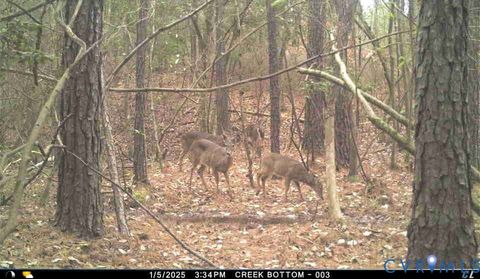 Tiny photo for 1719 Canterbury Road, St Stephens Church, VA 23148 (MLS # 2608002)