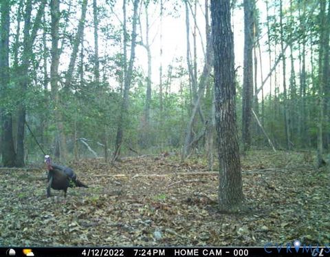 Tiny photo for 1719 Canterbury Road, St Stephens Church, VA 23148 (MLS # 2608002)