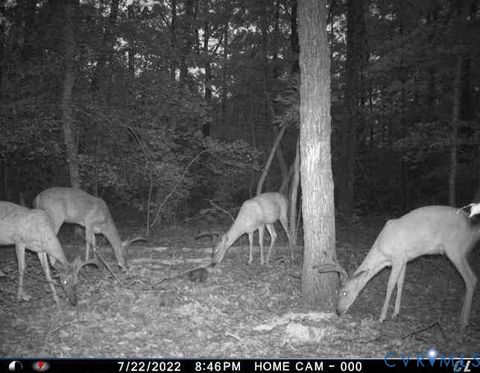 Tiny photo for 1719 Canterbury Road, St Stephens Church, VA 23148 (MLS # 2608002)