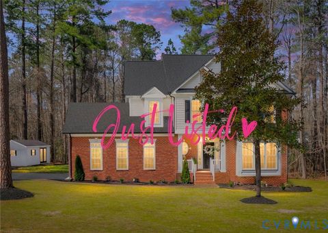 Photo of 14200 Princess Mary Road, Chesterfield, VA 23838 (MLS # 2606083)