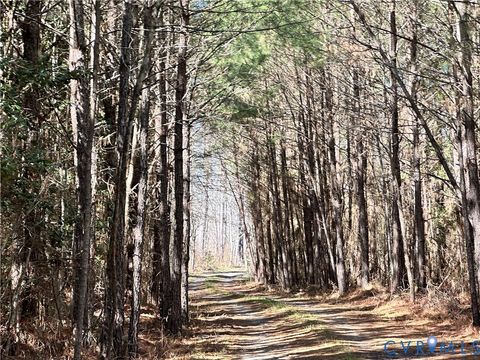 Tiny photo for 0 Farley Park Rd, Church View, VA 23032 (MLS # 2523566)