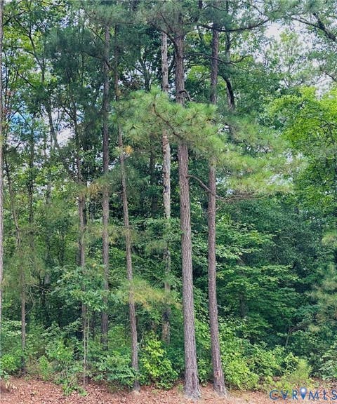 Photo of 11400 Brooks Street, Greenwood, VA 23059 (MLS # 2622781)