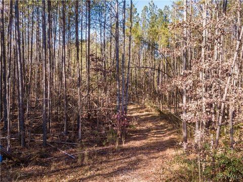 Tiny photo for 0 Grannys Lane, Goochland, VA 23146 (MLS # 2503474)