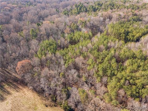 Tiny photo for 0 Grannys Lane, Goochland, VA 23146 (MLS # 2503474)