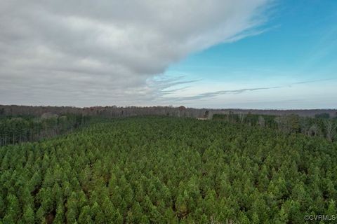 Tiny photo for TBD Perkins Mill Road, Dillwyn, VA 23936 (MLS # 2514751)