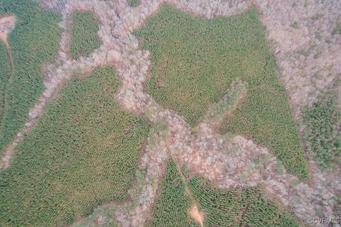 Tiny photo for TBD Perkins Mill Road, Dillwyn, VA 23936 (MLS # 2514751)