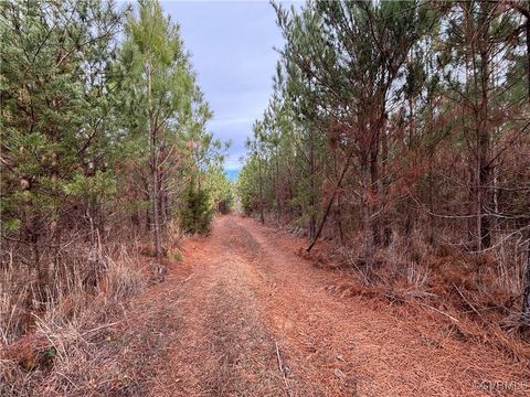 Tiny photo for TBD Perkins Mill Road, Dillwyn, VA 23936 (MLS # 2514751)