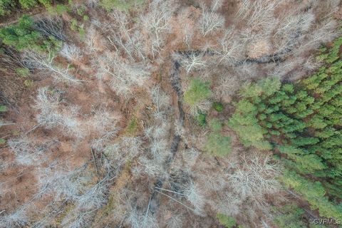 Tiny photo for TBD Perkins Mill Road, Dillwyn, VA 23936 (MLS # 2514751)