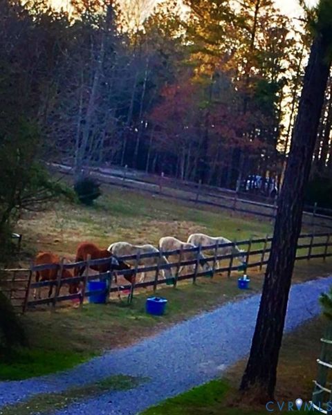 Tiny photo for 3151 Benchmark Trail Trl, Amelia Courthouse, VA 23002 (MLS # 2531919)