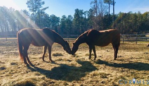 Tiny photo for 3151 Benchmark Trail Trl, Amelia Courthouse, VA 23002 (MLS # 2531919)