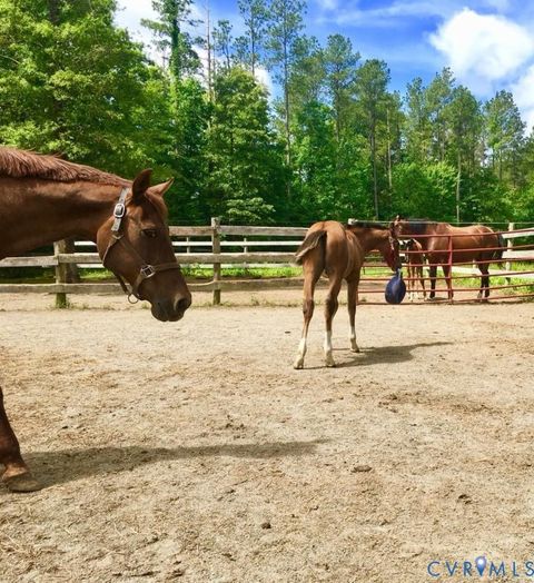 Tiny photo for 3151 Benchmark Trail Trl, Amelia Courthouse, VA 23002 (MLS # 2531919)