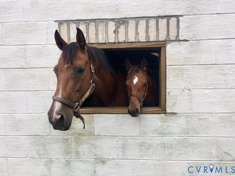 Tiny photo for 3151 Benchmark Trail Trl, Amelia Courthouse, VA 23002 (MLS # 2531919)