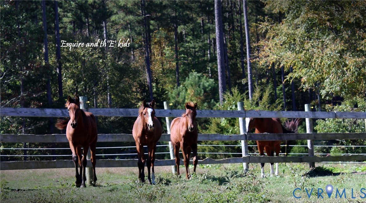 3151 Benchmark Trail