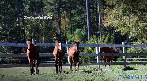 Tiny photo for 3151 Benchmark Trail Trl, Amelia Courthouse, VA 23002 (MLS # 2531919)