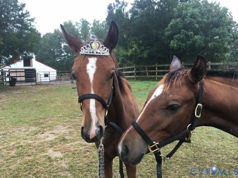 Tiny photo for 3151 Benchmark Trail Trl, Amelia Courthouse, VA 23002 (MLS # 2531919)