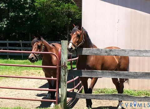 Tiny photo for 3151 Benchmark Trail Trl, Amelia Courthouse, VA 23002 (MLS # 2531919)