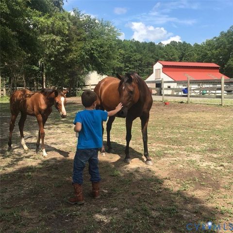 Tiny photo for 3151 Benchmark Trail Trl, Amelia Courthouse, VA 23002 (MLS # 2531919)