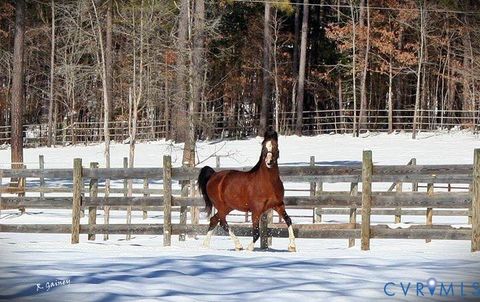 Tiny photo for 3151 Benchmark Trail Trl, Amelia Courthouse, VA 23002 (MLS # 2531919)