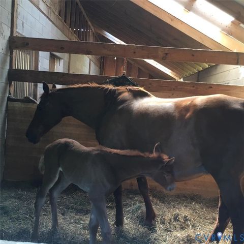 Tiny photo for 3151 Benchmark Trail Trl, Amelia Courthouse, VA 23002 (MLS # 2531919)