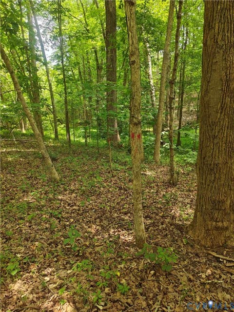 Tiny photo for 0 Davenport Road, Cumberland, VA 23040 (MLS # 2617751)