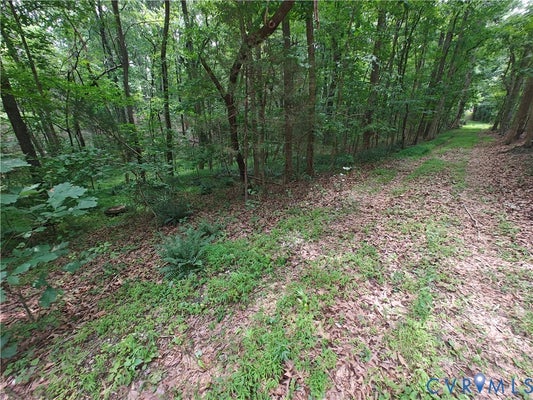 DAVENPORT RD, CUMBERLAND, VA 23040 - Image 0b6083721ce9089ffdaf202cb06eea9c/2136867001