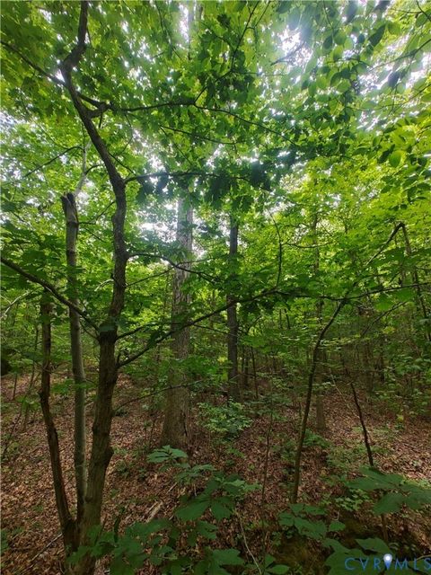 Tiny photo for 0 Davenport Road, Cumberland, VA 23040 (MLS # 2617751)