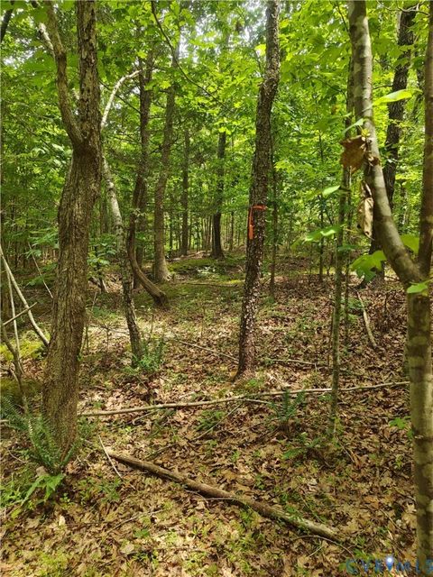 Tiny photo for 0 Davenport Road, Cumberland, VA 23040 (MLS # 2617751)
