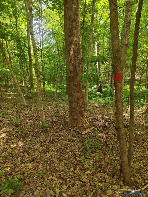 Tiny photo for 0 Davenport Road, Cumberland, VA 23040 (MLS # 2617751)