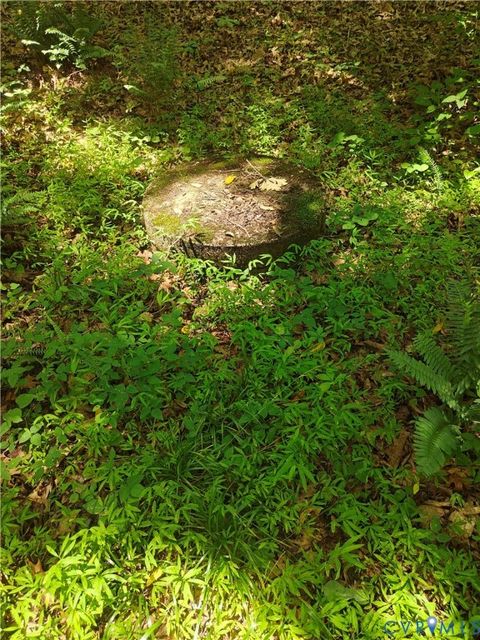 Tiny photo for 0 Davenport Road, Cumberland, VA 23040 (MLS # 2617751)
