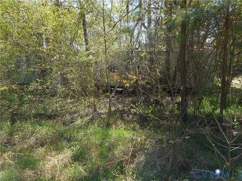 Tiny photo for 6016 Grubby Road, Wilsons, VA 23894 (MLS # 2608866)