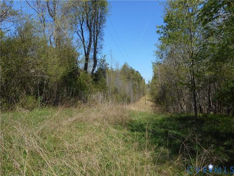 Tiny photo for 6016 Grubby Road, Wilsons, VA 23894 (MLS # 2608866)