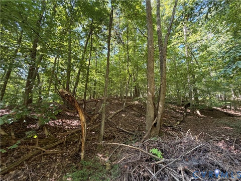 Tiny photo for 1138 Drewry Road, Martinsville, VA 24112 (MLS # 2626833)