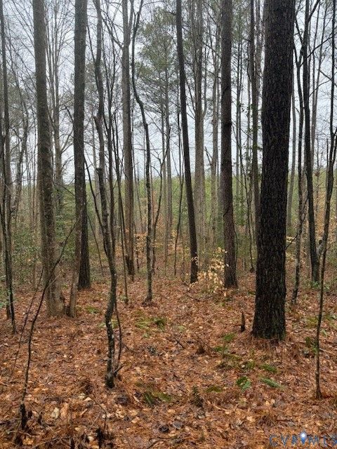 Tiny photo for 0 Cherry Hill Rd, Mc Kenney, VA 23872 (MLS # 2604041)