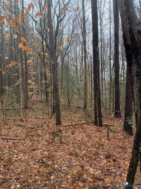 Tiny photo for 0 Cherry Hill Rd, Mc Kenney, VA 23872 (MLS # 2604041)