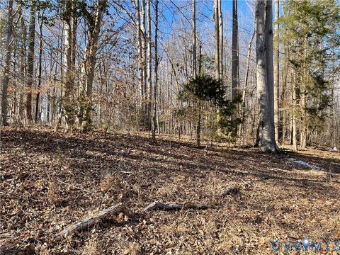Photo of 868 Bowling, Ruther Glen, VA 22546 (MLS # 2613977)
