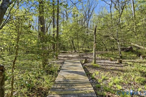 Tiny photo for 3128 Rock Cress Lane, Sandy Hook, VA 23153 (MLS # 2609079)