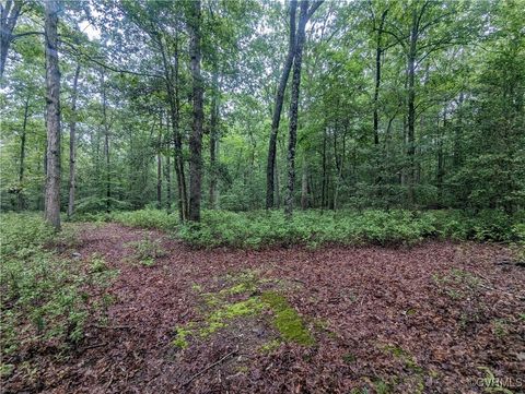 Tiny photo for 0 Good Hope Road, Lanexa, VA 23089 (MLS # 2501743)