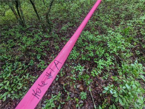 Tiny photo for 0 Good Hope Road, Lanexa, VA 23089 (MLS # 2501743)