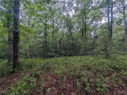 Tiny photo for 0 Good Hope Road, Lanexa, VA 23089 (MLS # 2501743)
