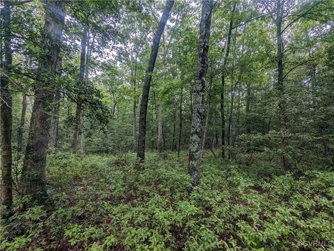 Tiny photo for 0 Good Hope Road, Lanexa, VA 23089 (MLS # 2501743)