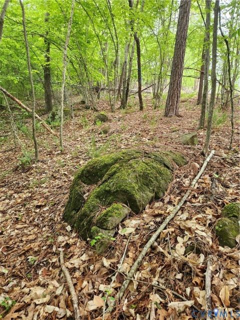 Tiny photo for 295 Hickory Hollow Lane, Fork Union, VA 23022 (MLS # 2611922)