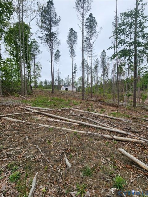 Tiny photo for 295 Hickory Hollow Lane, Fork Union, VA 23022 (MLS # 2611922)