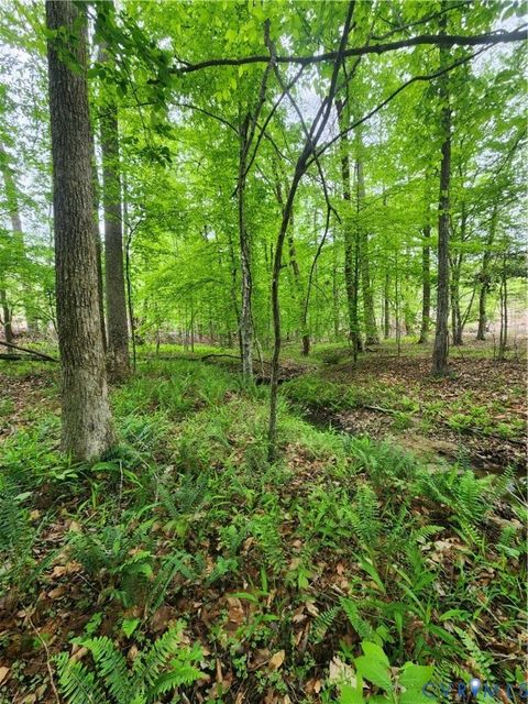 Tiny photo for 295 Hickory Hollow Lane, Fork Union, VA 23022 (MLS # 2611922)