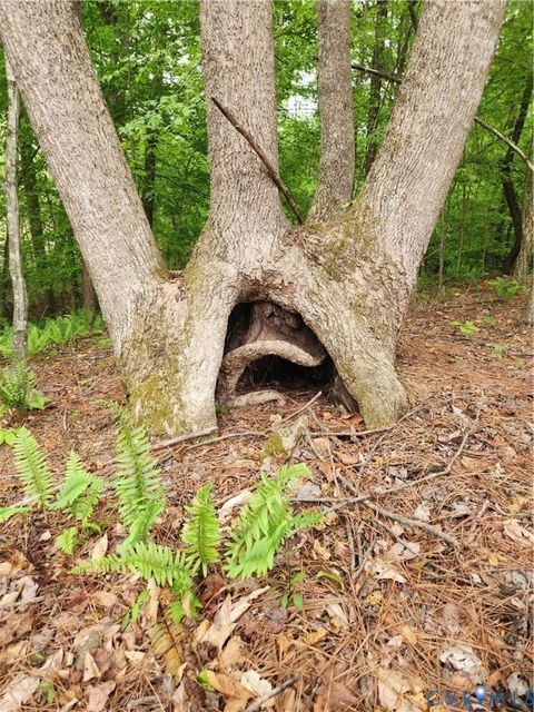 Tiny photo for 295 Hickory Hollow Lane, Fork Union, VA 23022 (MLS # 2611922)