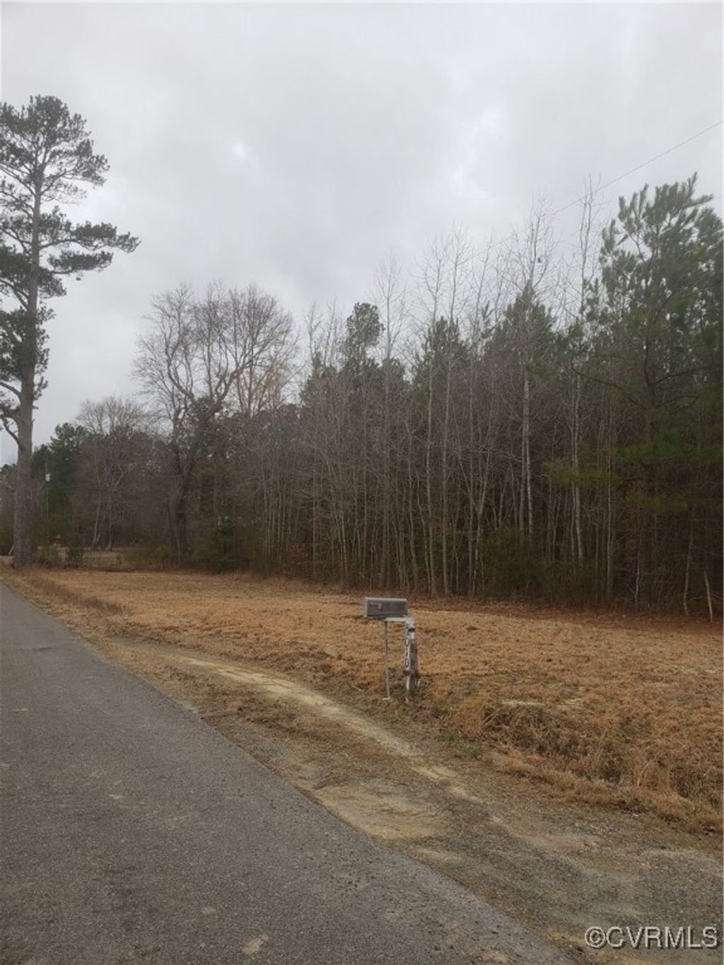 Photo for 7016 Chippokes Road, Spring Grove, VA 23881 (MLS # 2506938)