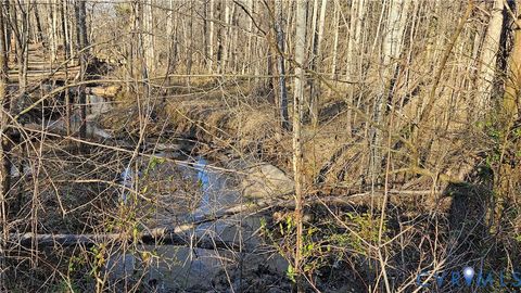 Tiny photo for 79 Acres RICHARDSON Road, Amelia, VA 23002 (MLS # 2529967)