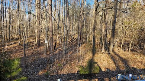 Tiny photo for 79 Acres RICHARDSON Road, Amelia, VA 23002 (MLS # 2529967)