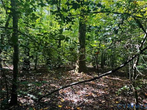 Tiny photo for 0-0 Pampa Rd, Gloucester, VA 23061 (MLS # 2608892)