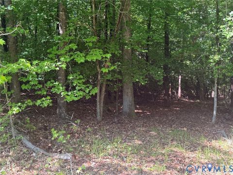 Tiny photo for TBD NEAR Cooks Mill RD, Lanexa, VA 23089 (MLS # 2612378)